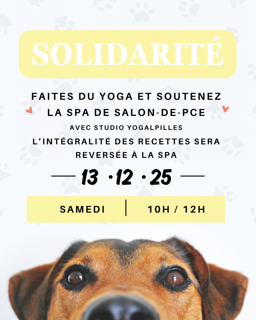 Noel de la SPA , évènement solidaire bénéfices reversés à la société protectrice des animaux
