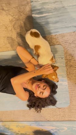 chiot chien bébé chien puppy yoga vinyasa Salon-de-Provence relaxation méditation