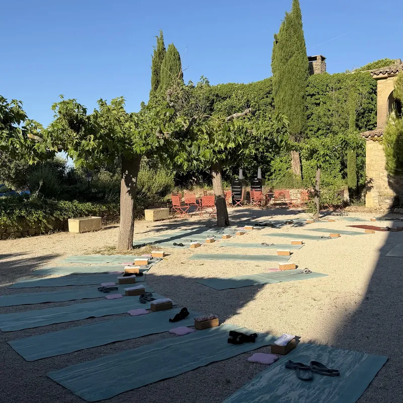 Tapis de yoga alignés dans une cour ensoleillée sous les arbres, devant une bâtisse en pierre couverte de lierre